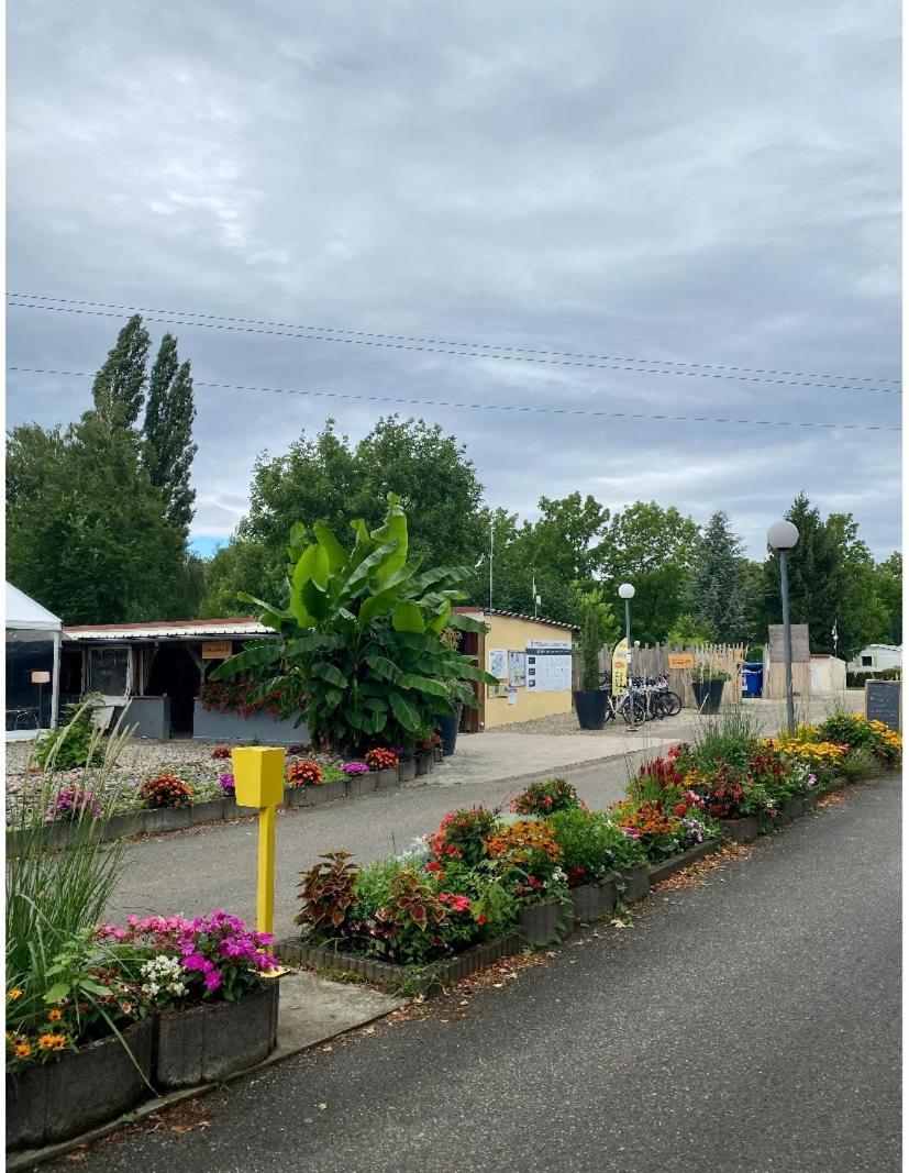 Mobile Home Proche De Europa Park Boofzheim 外观 照片
